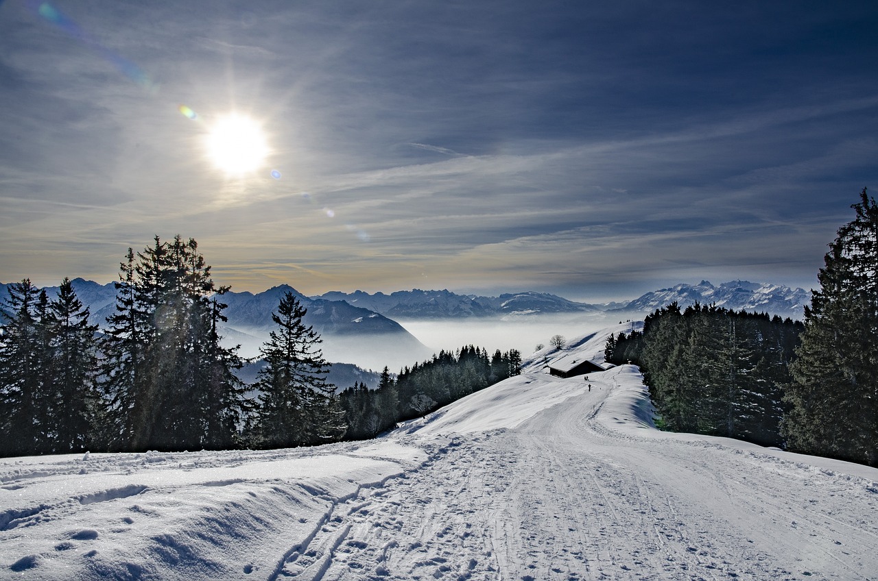 de mooiste skigebieden van de Alpenlanden